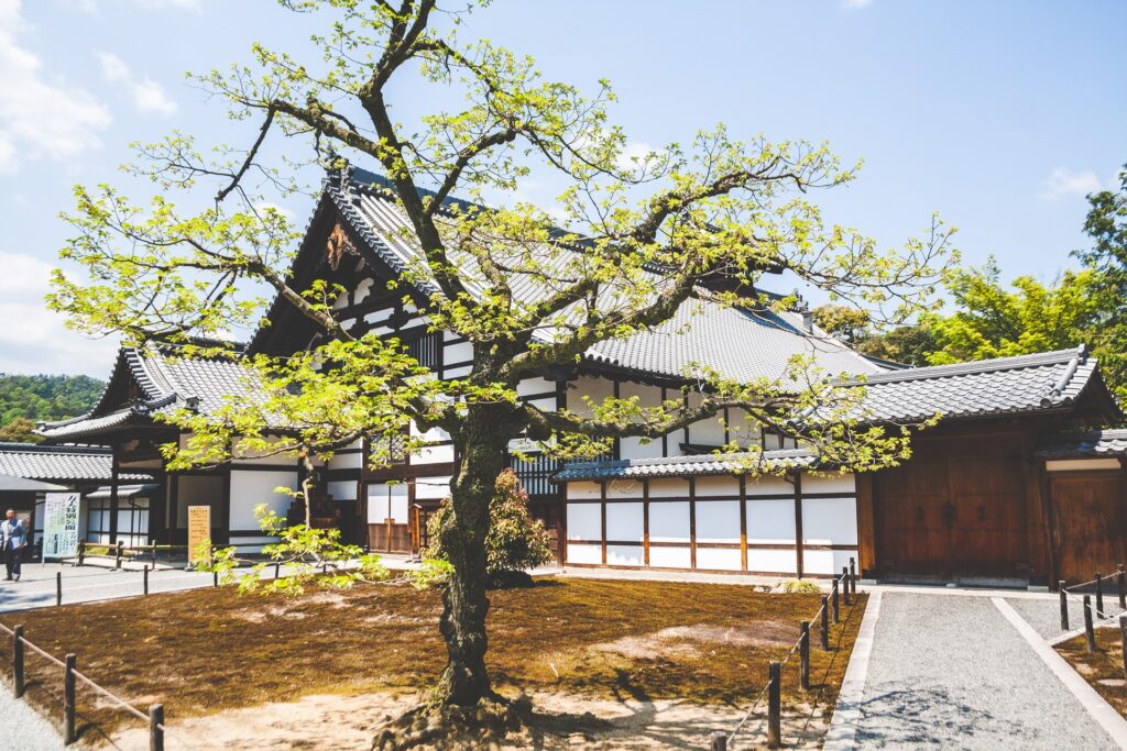 屋根診断